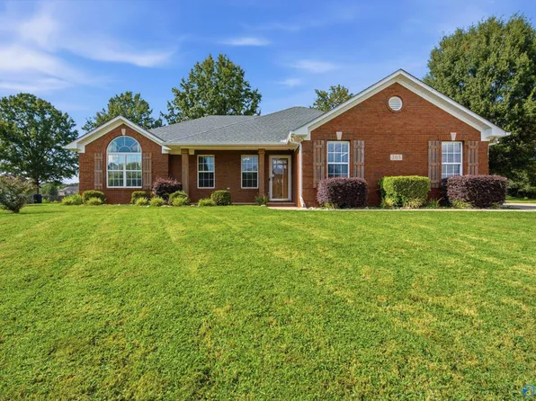 203 Turkey Point Dr, New Market, AL 35761