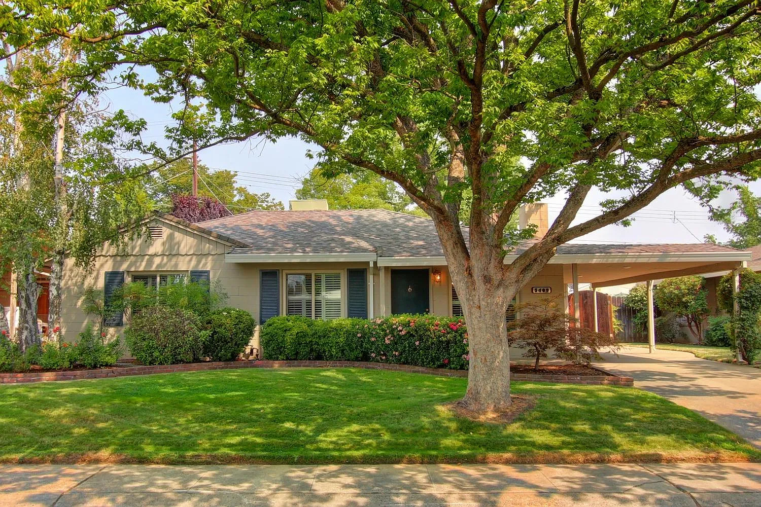 5409 Argo Way photo 1