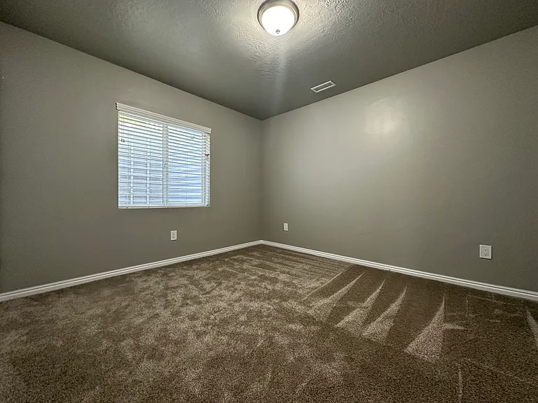 10684 S Wild Rice Dr — Photo 21
