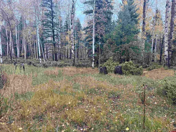 TBD Deer Park, Antonito, CO 81120