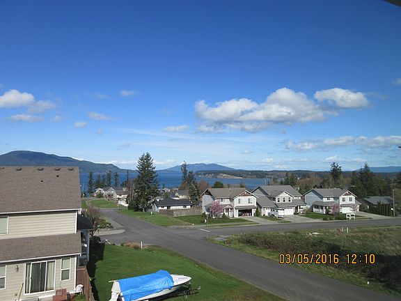 The view