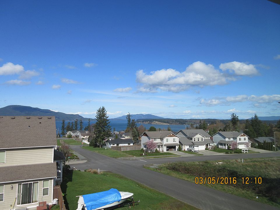The view