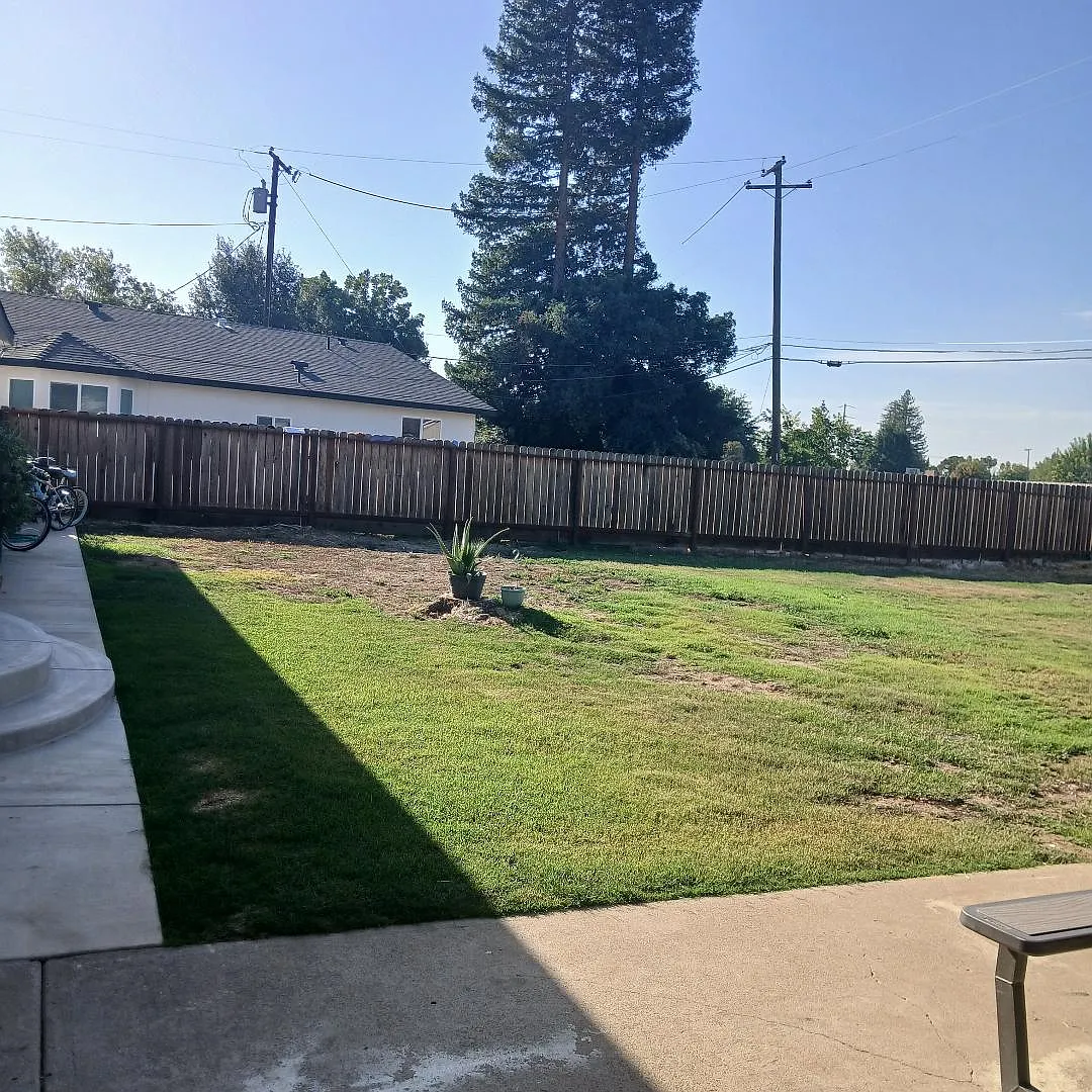 4 bed, 1117 sqft, $2,100 — Photo 3