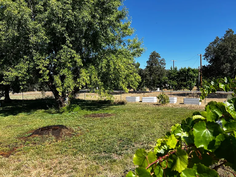 23486 Old 44 Dr — Photo 8
