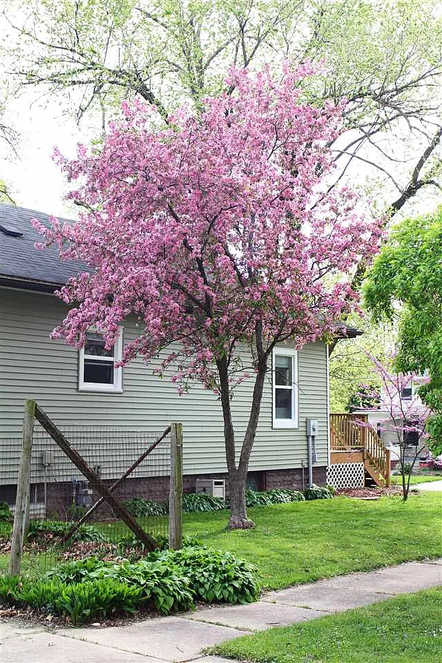 1202 Marcy St photo 1
