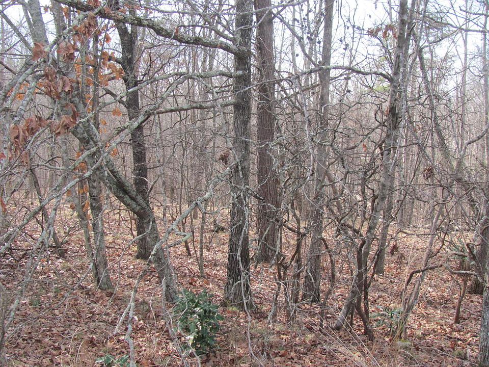 1st image of 12 Wintergreen Ct