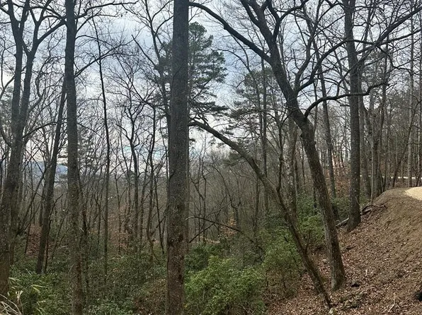 0 Tatham Gap Road, Andrews, NC 28901