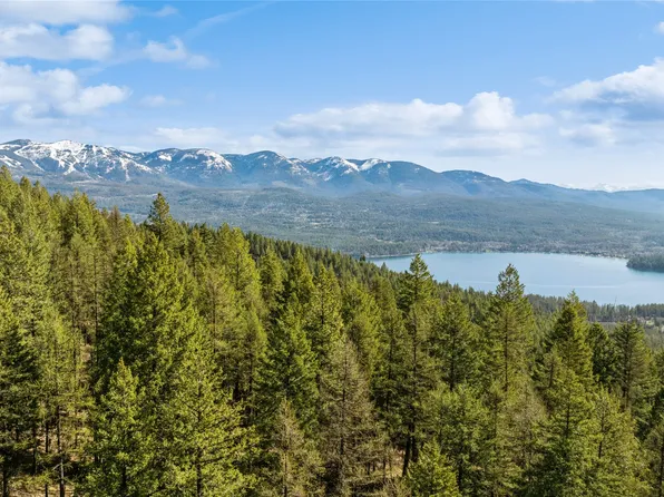Nhn Tract Wolf Tail Pines Rd #1, Whitefish, MT 59937