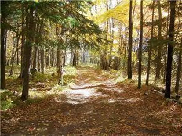 18656 County Road 40, Park Rapids, MN 56470