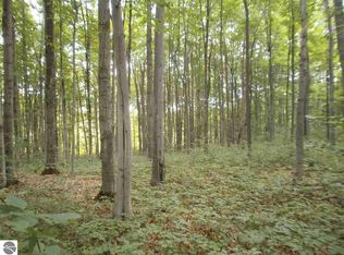0 Inman Rd, South Boardman, MI 49680