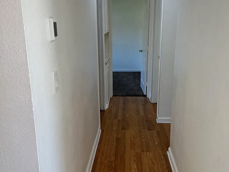 42951 Alexo Dr — Photo 32