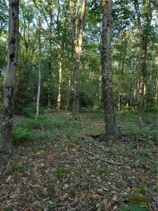 172 Cross St #2, Pocono Lake, PA, 18347