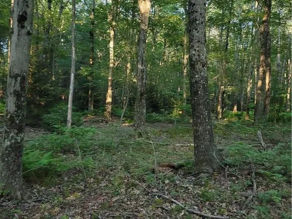 172 Cross St #2, Pocono Lake, PA 18347