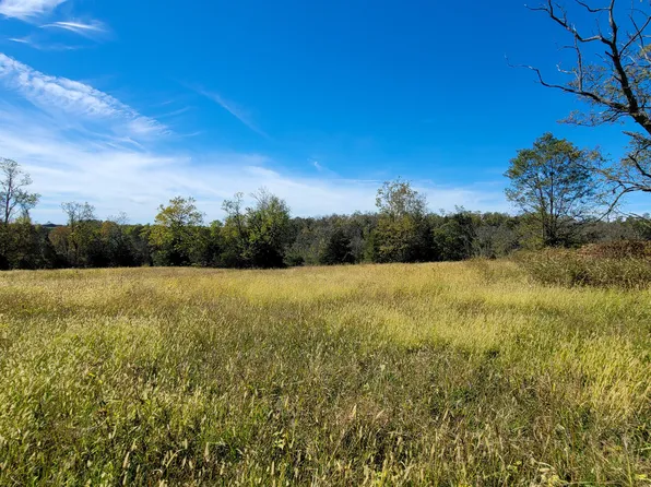 595 Tulip Poplar Ln, Flemingsburg, KY 41041