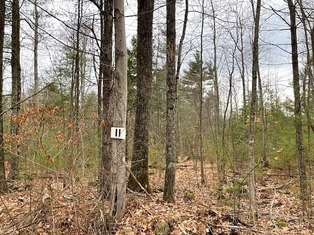 1st image of 11-11 New Athol Rd #L