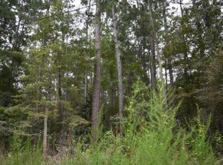 0 Daffodil Ln, Hemingway, SC 29554