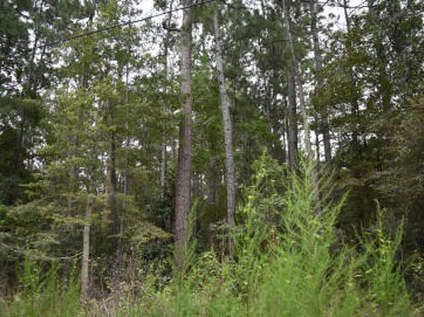 0 Daffodil Ln, Hemingway, SC 29554