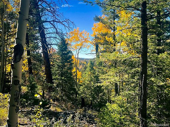 5th image of LOT 6187 Starkbeather Road