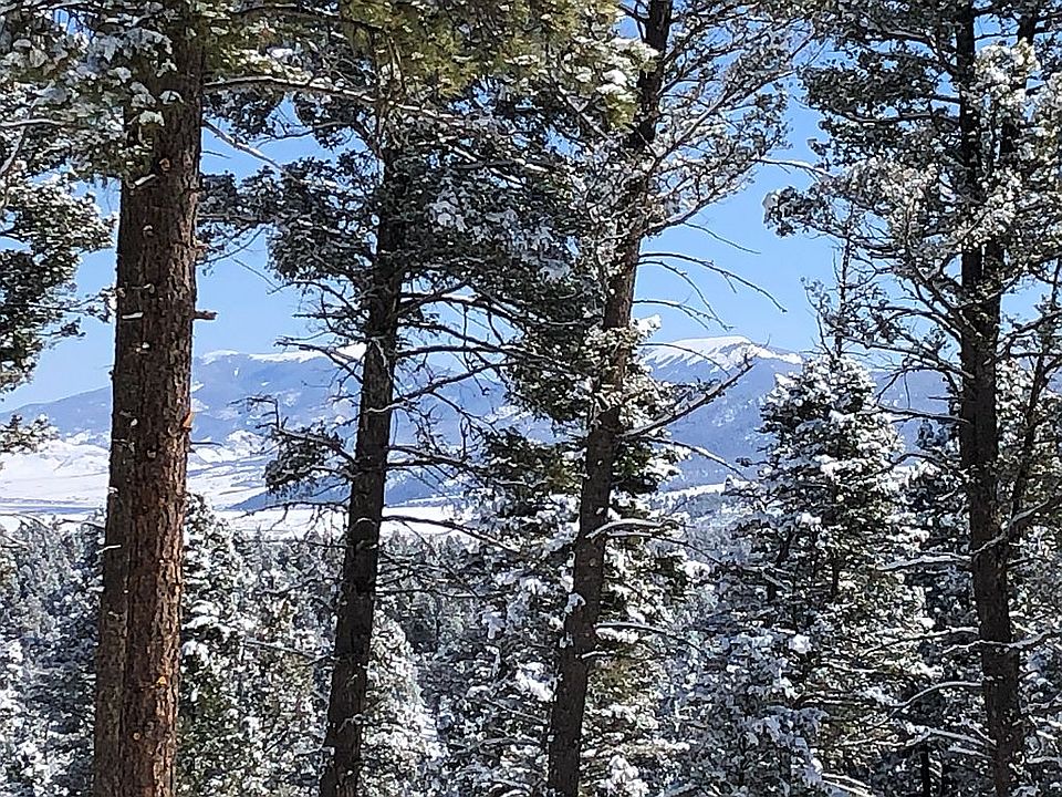 Winter scene from Pinehurst 