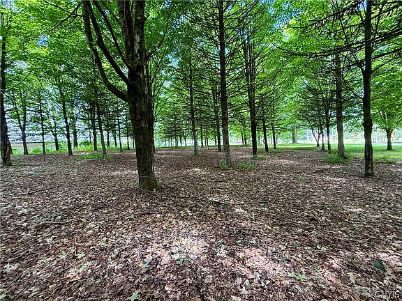 5th image of Vida Dr Lot 2