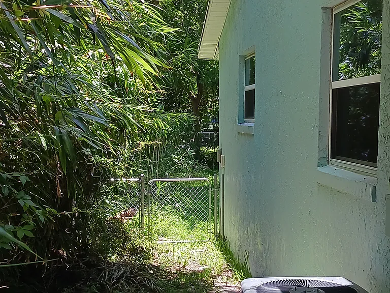 Walkway to backyard