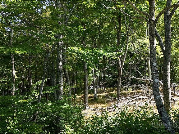 2nd image of Lot 42 Rock Spring Circle