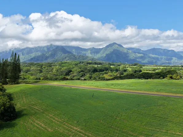 4143 Hihimanu Rd #20, Kilauea, HI 96754