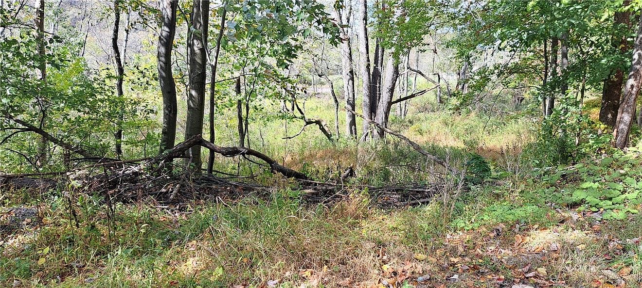 0 Aloe Park Rd, Punxsutawney, PA 15767 Zillow