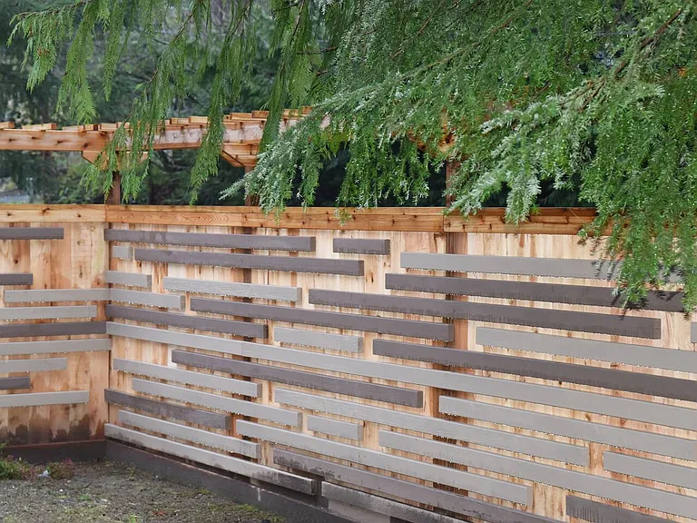 Side Yard