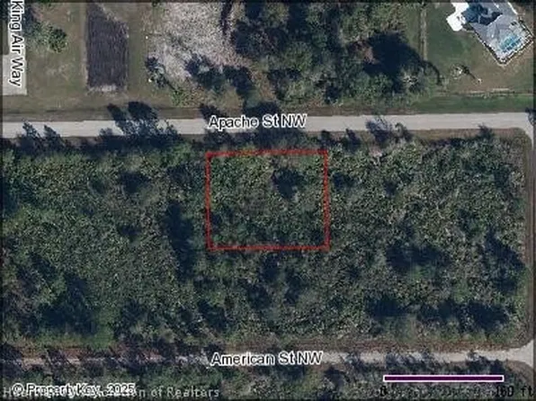 1170 Apache St NW, Lake Placid, FL 33852