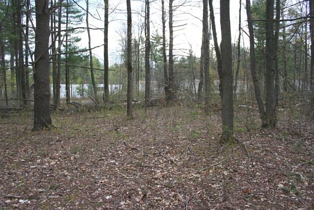 1st image of 51 Grove Ave