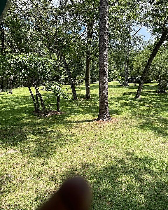 2nd image of 29 Kristin Ln