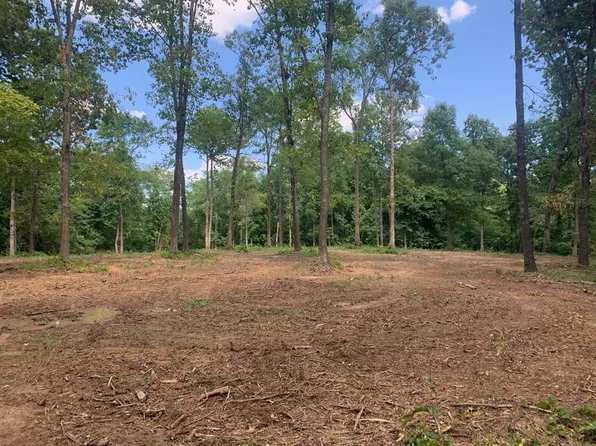 0 Woodard Rd, Gleason, TN 38229