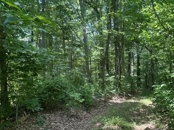 0 Ward Fork Rd, Whitleyville, TN 38588