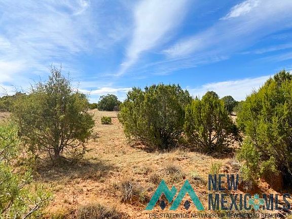 3rd image of 40 Acres Off Cres #B-29