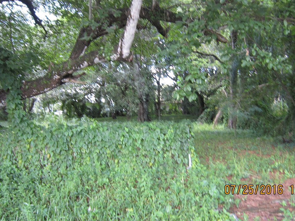 1st image of 3817 Washington Ave