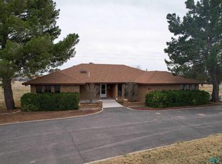 5402 S Thomason Rd, Carlsbad, NM 88220
