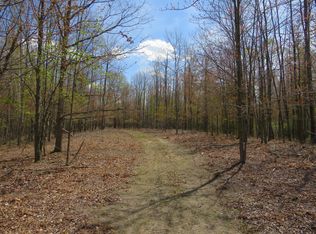 N Chippewa Rd, Mount Pleasant, MI 48858