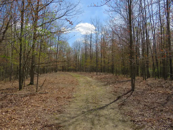 N Chippewa Rd, Mount Pleasant, MI 48858