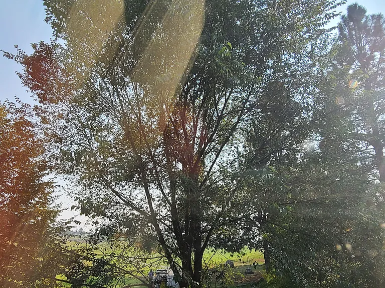 View from Primary bedroom