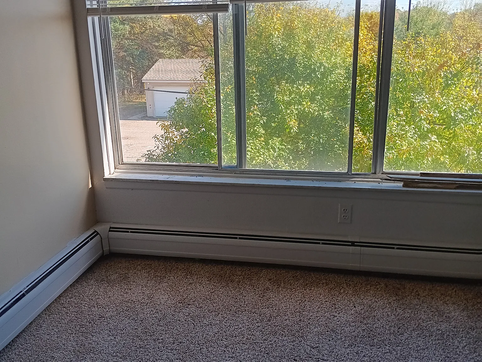 1 bed, 700 sqft, $950 — Photo 4