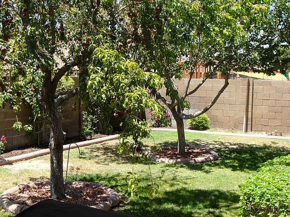 5th image of 6600 N 87th Ave