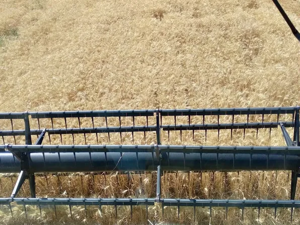 0 Bannister Wheat, Pendleton, OR 97801