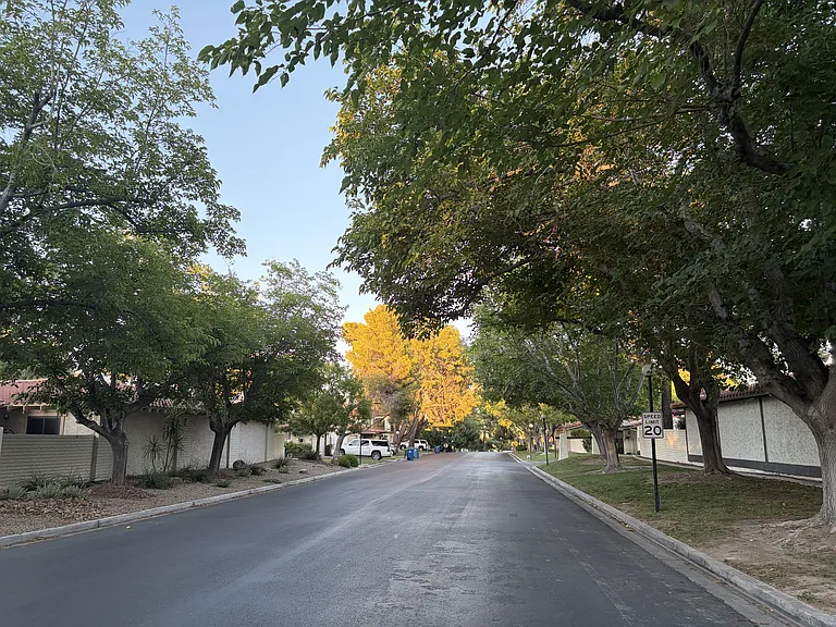 View of mature trees on one of the streets. These trees will display colorful foliage in the fall.