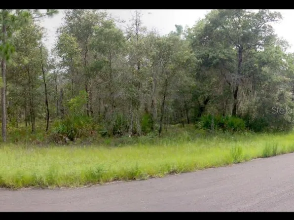 2156 W Deerfield Ln #8, Dunnellon, FL 34434