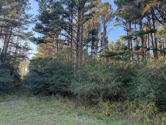 2nd image of County Road 185