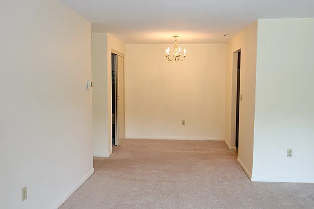 65 Elmwood Park #1 — Photo 3