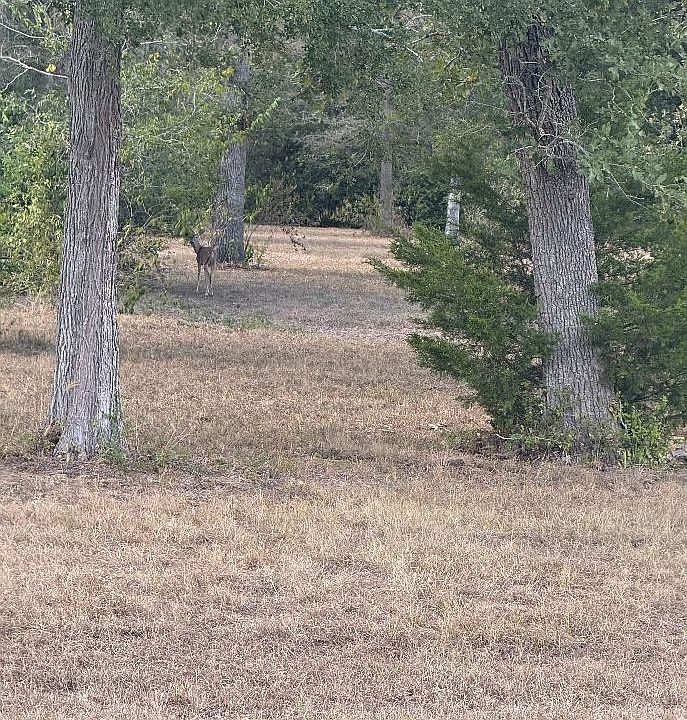 1st image of Port Of 1251 Deer Point Rd