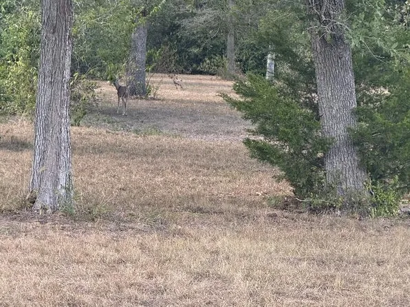 Port Of 1251 Deer Point Rd, Caldwell, TX 77836