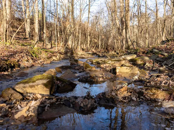 LOT 1 Frost Run, Moatsville, WV 26405